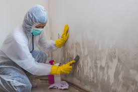 Best Mold Remediation for Healthcare Facilities in Fairmount, NY